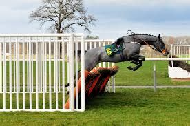 a to z horses running today|Horses Running in the US Today .